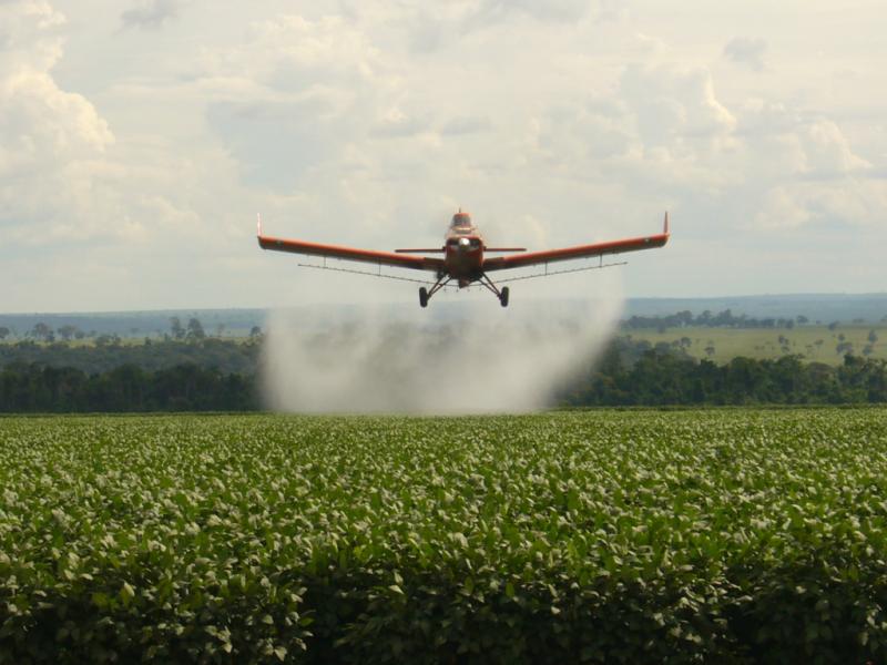 pesticidasGlifosato,campo,agro